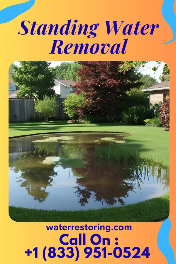 Standing Water Removal in Doylestown, WI